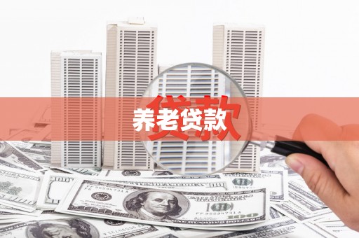 王益养老贷款