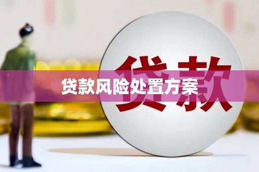 王益贷款风险处置方案