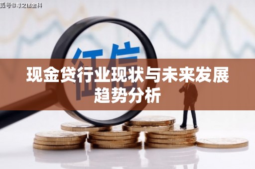 王益现金贷行业现状与未来发展趋势分析