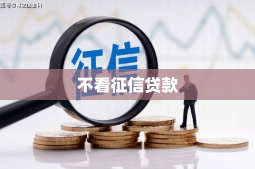 王益不看征信贷款