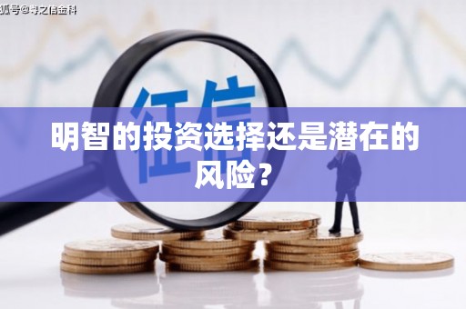 王益明智的投资选择还是潜在的风险？