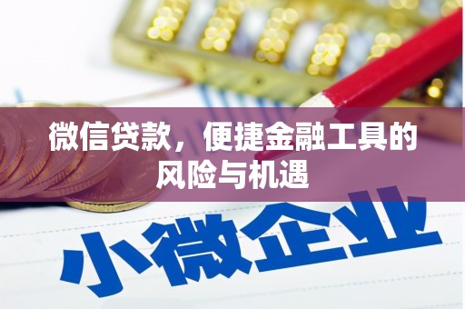 王益微信贷款，便捷金融工具的风险与机遇