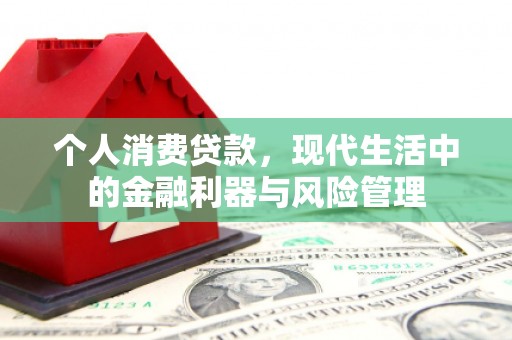 王益个人消费贷款，现代生活中的金融利器与风险管理