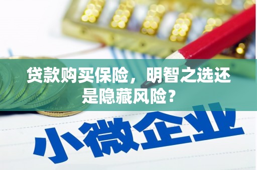 王益贷款购买保险，明智之选还是隐藏风险？