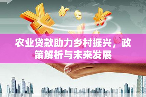 王益农业贷款助力乡村振兴，政策解析与未来发展