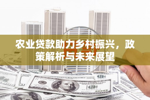 王益农业贷款助力乡村振兴，政策解析与未来展望