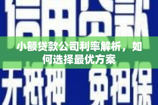 王益小额贷款公司利率解析，如何选择最优方案