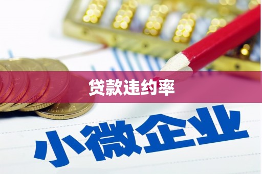 王益贷款违约率