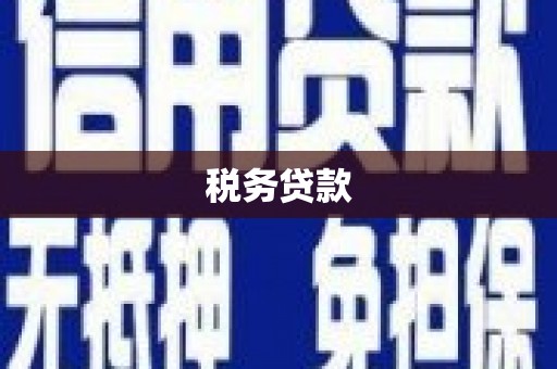 王益税务贷款