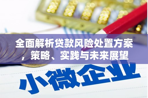 王益全面解析贷款风险处置方案，策略、实践与未来展望