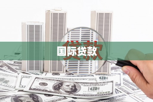 王益国际贷款
