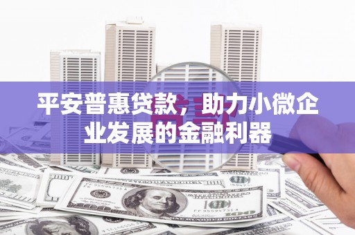 王益平安普惠贷款，助力小微企业发展的金融利器