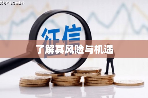 王益了解其风险与机遇