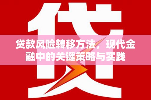 王益贷款风险转移方法，现代金融中的关键策略与实践