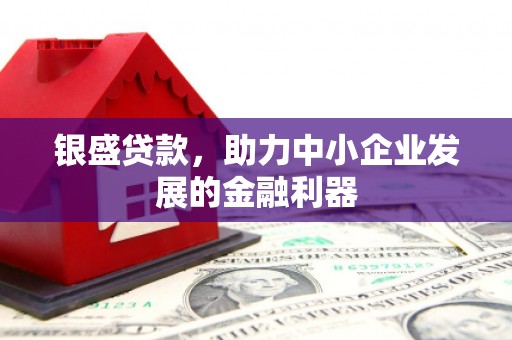 王益银盛贷款，助力中小企业发展的金融利器