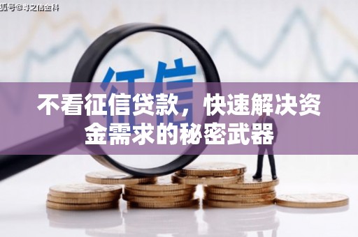王益不看征信贷款，快速解决资金需求的秘密武器