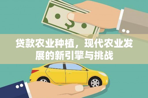 王益贷款农业种植，现代农业发展的新引擎与挑战