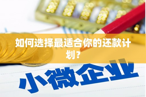 王益如何选择最适合你的还款计划？