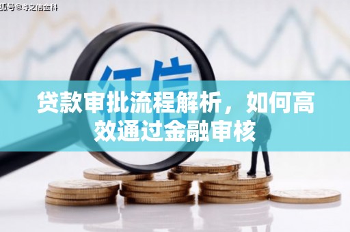 王益贷款审批流程解析，如何高效通过金融审核