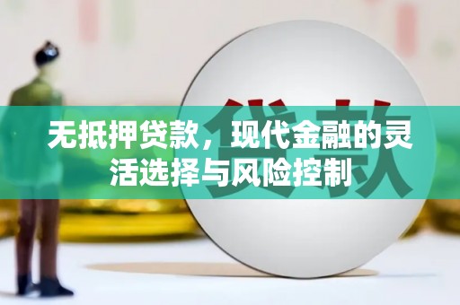 王益无抵押贷款，现代金融的灵活选择与风险控制