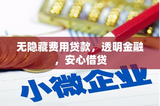 王益无隐藏费用贷款，透明金融，安心借贷
