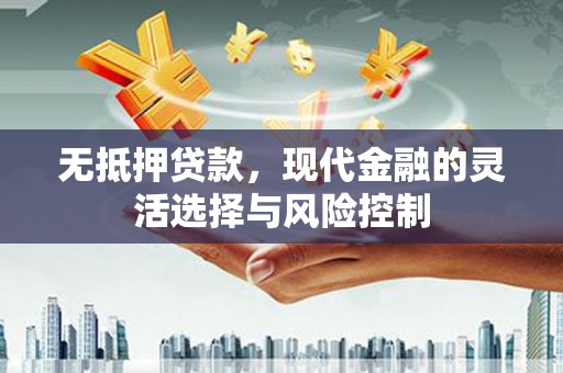 王益无抵押贷款，现代金融的灵活选择与风险控制