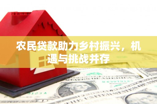 王益农民贷款助力乡村振兴，机遇与挑战并存