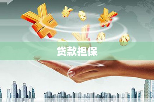 王益贷款担保