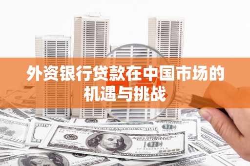 王益外资银行贷款在中国市场的机遇与挑战