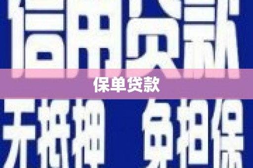 王益保单贷款