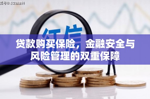 王益贷款购买保险，金融安全与风险管理的双重保障