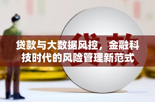 王益贷款与大数据风控，金融科技时代的风险管理新范式
