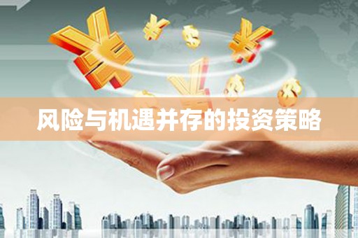 王益风险与机遇并存的投资策略