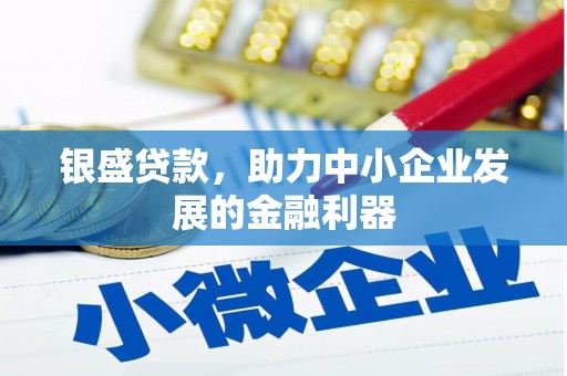 王益银盛贷款，助力中小企业发展的金融利器