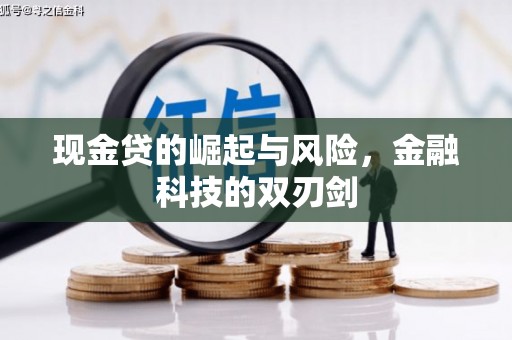 王益现金贷的崛起与风险，金融科技的双刃剑