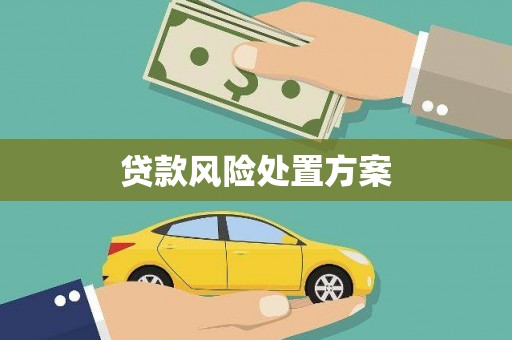 王益贷款风险处置方案