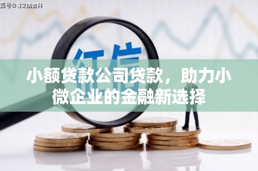 王益小额贷款公司贷款，助力小微企业的金融新选择