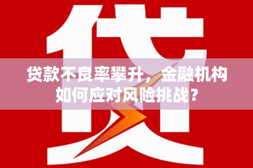 王益贷款不良率攀升，金融机构如何应对风险挑战？