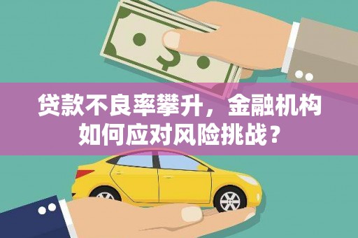 王益贷款不良率攀升，金融机构如何应对风险挑战？