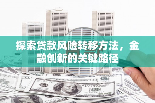 王益探索贷款风险转移方法，金融创新的关键路径