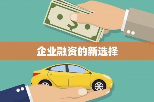 王益企业融资的新选择