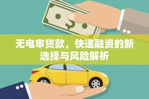王益无电审贷款，快速融资的新选择与风险解析