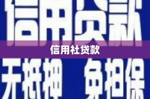 王益信用社贷款