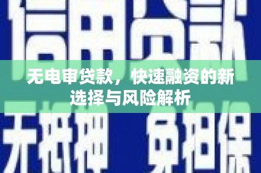 王益无电审贷款，快速融资的新选择与风险解析