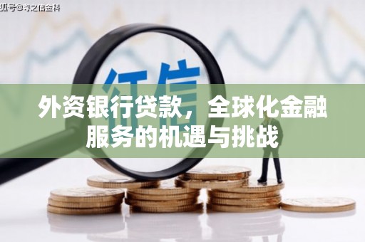 王益外资银行贷款，全球化金融服务的机遇与挑战