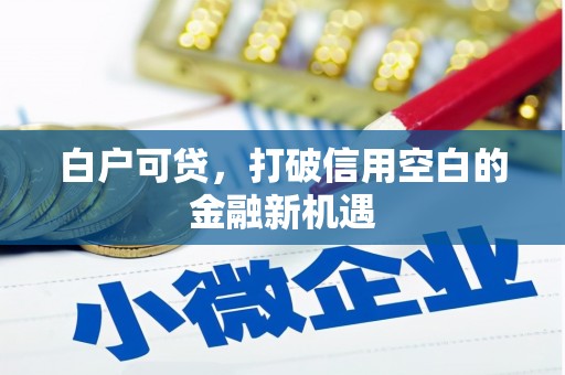 王益白户可贷，打破信用空白的金融新机遇