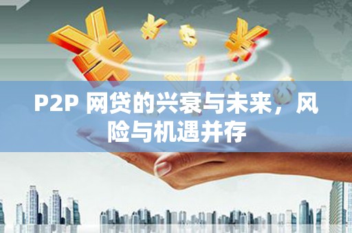 王益P2P 网贷的兴衰与未来，风险与机遇并存