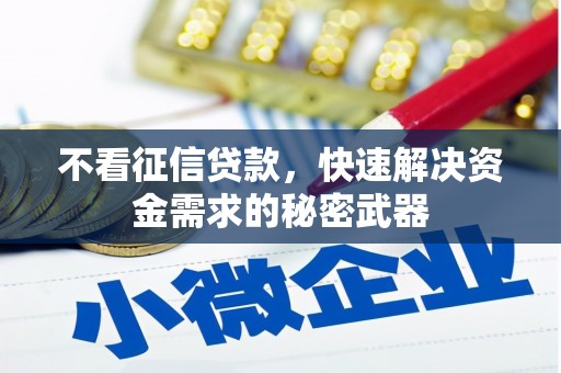 王益不看征信贷款，快速解决资金需求的秘密武器