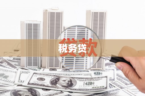王益税务贷