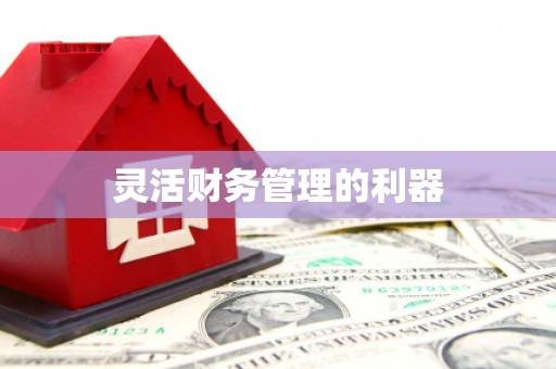 王益灵活财务管理的利器